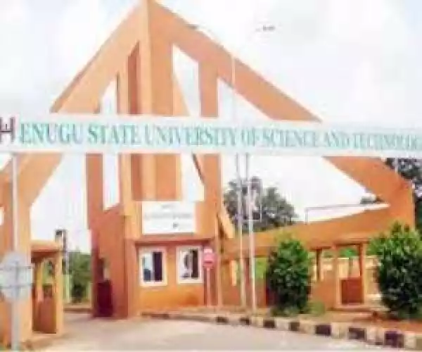 Enugu State University Sacks 153 Lecturers